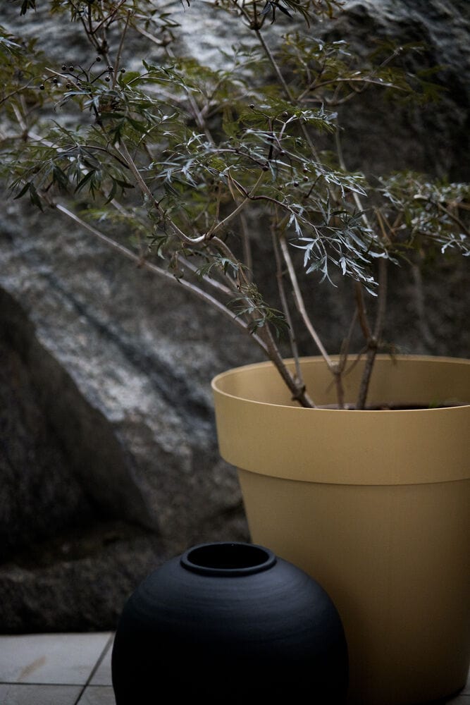 Bee Kruka Svart H28cm Från BYON - Bild 3