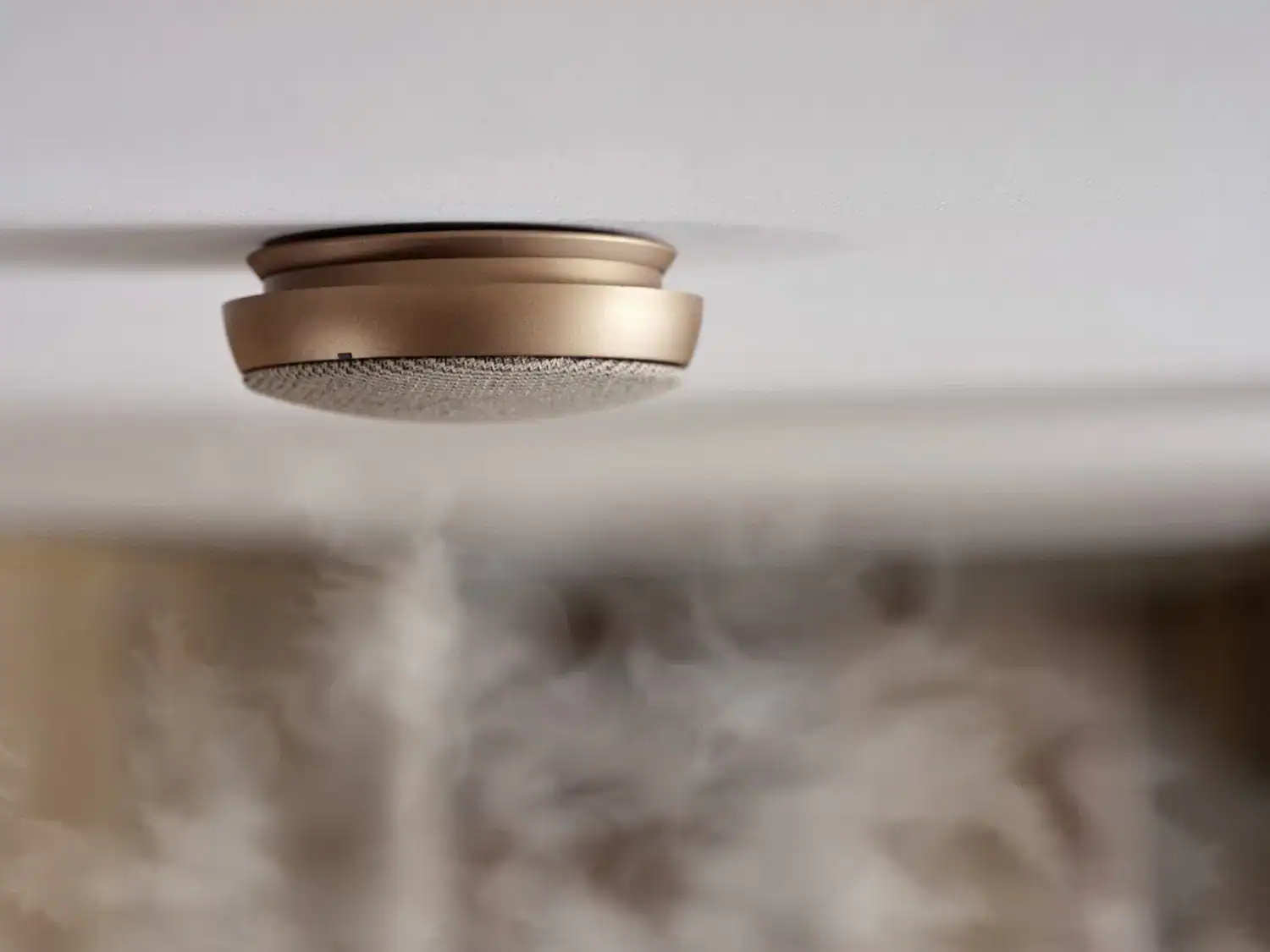 Brandvarnare Optisk Koppar Dia 10 cm Från Jacob Jensen - Bild 5