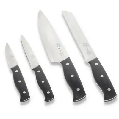 Austral Knivset 4 delar Stål/Svart Lion Sabatier International